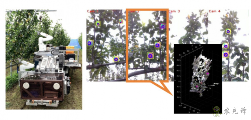 速度堪比人工的自主水果采摘機器人