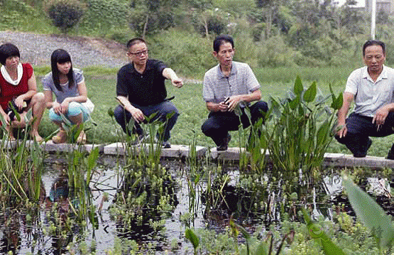 生態(tài)安全