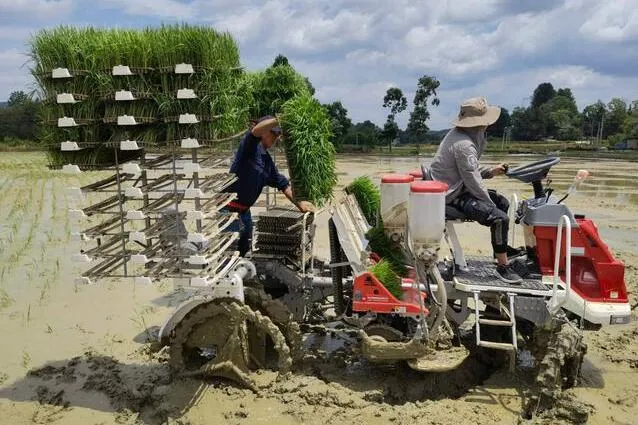 貴州全力推進水稻生產全程機械化