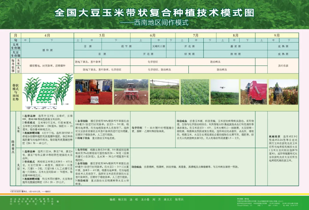 玉米大豆長期發展趨勢！大豆自產量可增三倍，利潤翻倍！